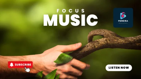 Study Music for Focus and Relaxation